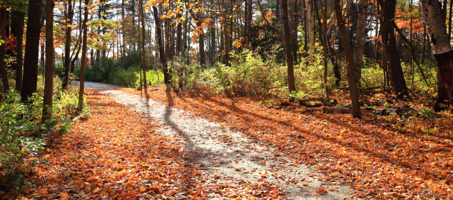 outside nature walk pathway