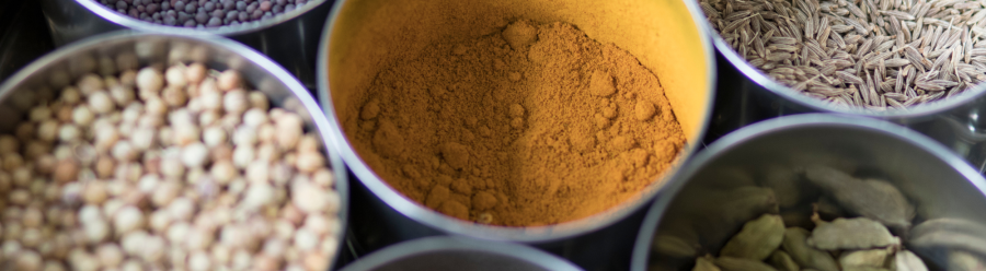 Ayurveda landing page hero