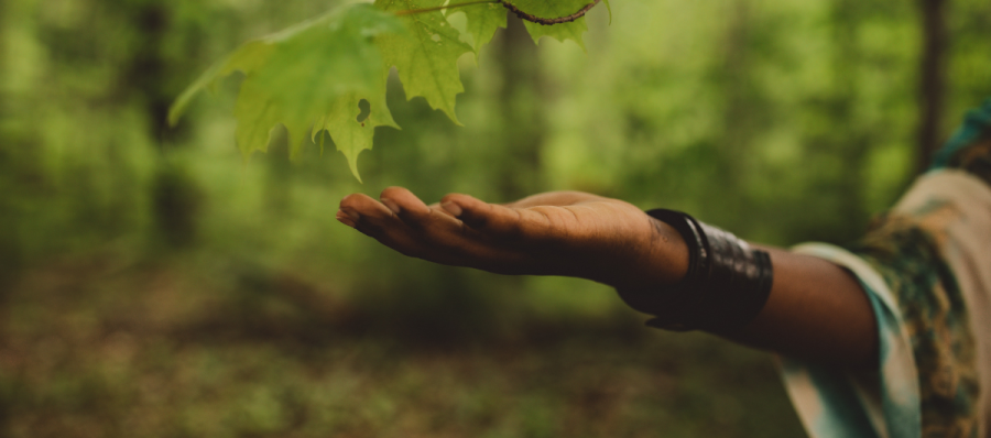 hand outstretched in a forest