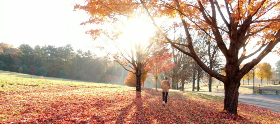 a woman walking outside in the fall with sunlight