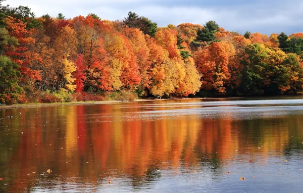 Fall