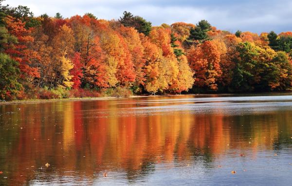 Fall