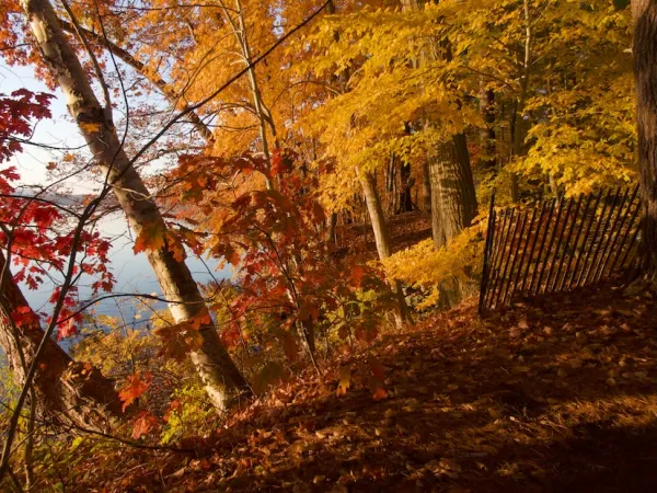 Fall