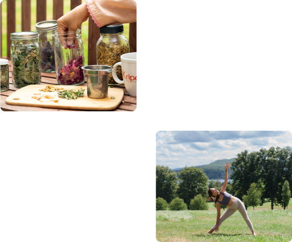 Home image slider 6