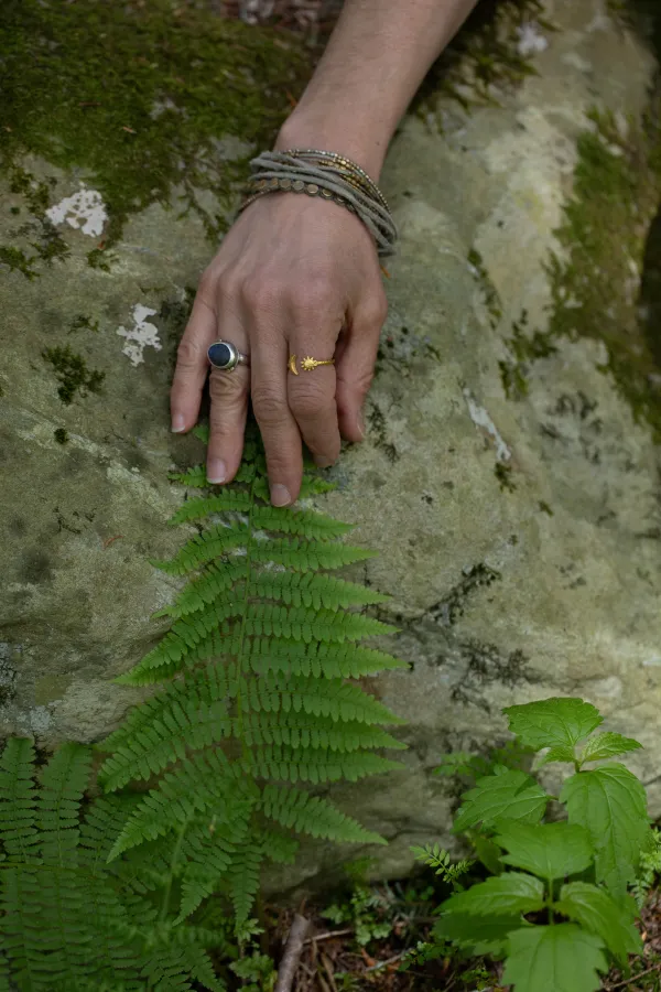 Hands on a tree