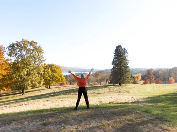 Outside hands in the air fall
