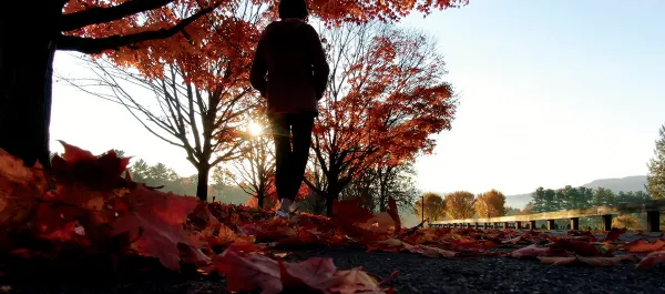 A guest walks along campus at sunset on a fall day