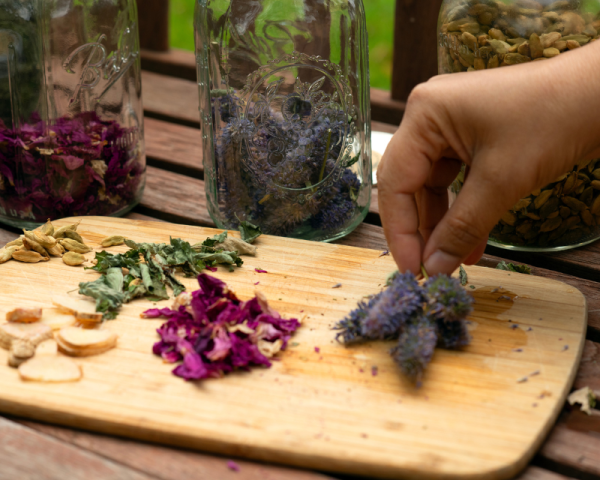 Ayurveda herbs