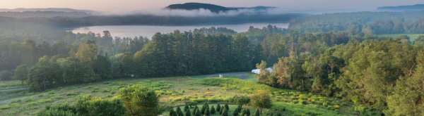 landscape summer