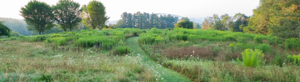 field outside