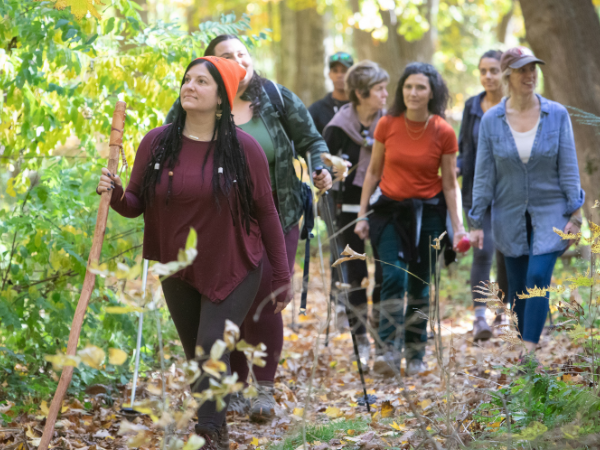 fall hiking in the woods