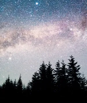 GettyImages-952109708_starrysky_hero.jpg