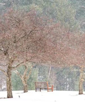 Kripalu-Winter-2.15_silence_hero.jpg