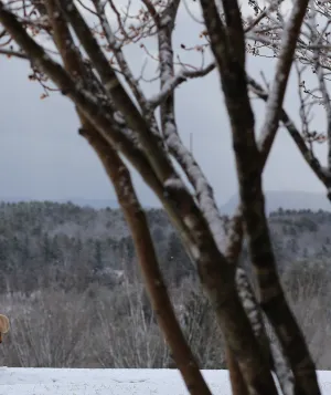 Woman in red jacket sitting on snowy ground looking out at the winter landscape.