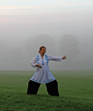 TaiChi_MG_9688_hcm-fade.gif?itok=7dzbY4re