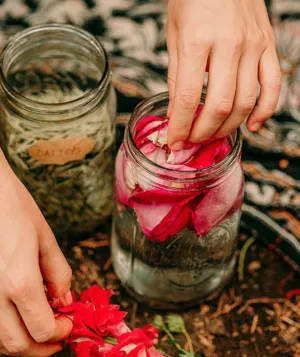 Person's hands putting flower petals into a jar.