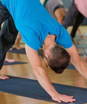 yoga students in downward dog