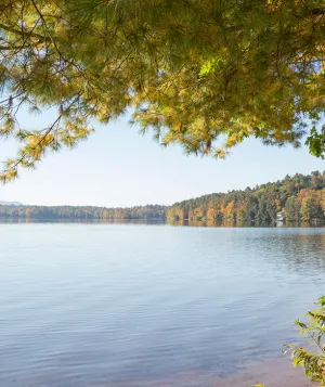 lake_reference_summer.png