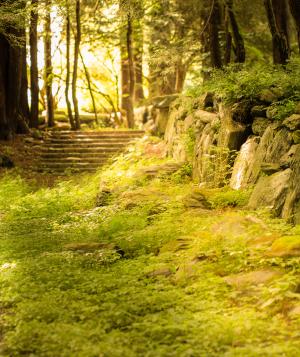 ksa advanced studies banner