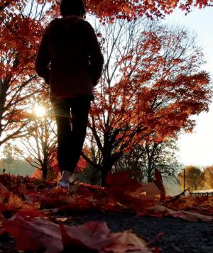 A guest walks along campus at sunset on a fall day