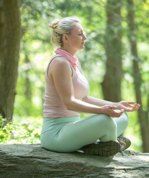 spring 2025 meditation forest