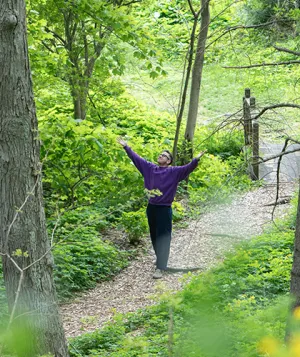 spring woods
