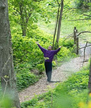 spring woods