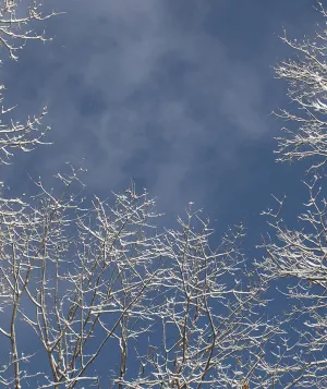 winter 2025 sky