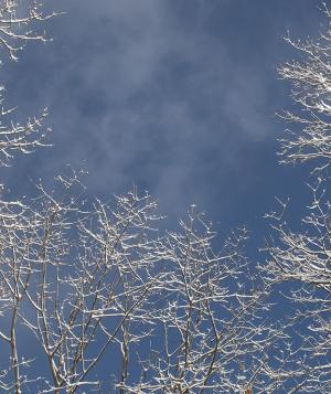 winter 2025 sky
