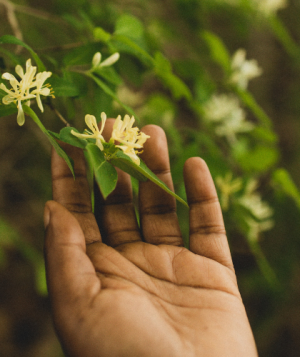 Hand with flower