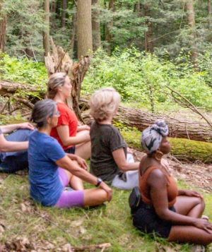 forest meditation
