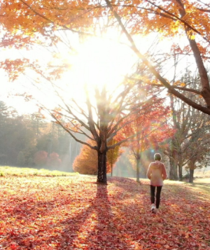 a woman walking outside in the fall with sunlight