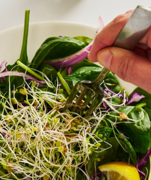 salad on a plate