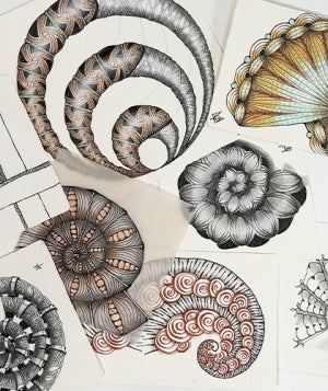 Golden Ratio banner